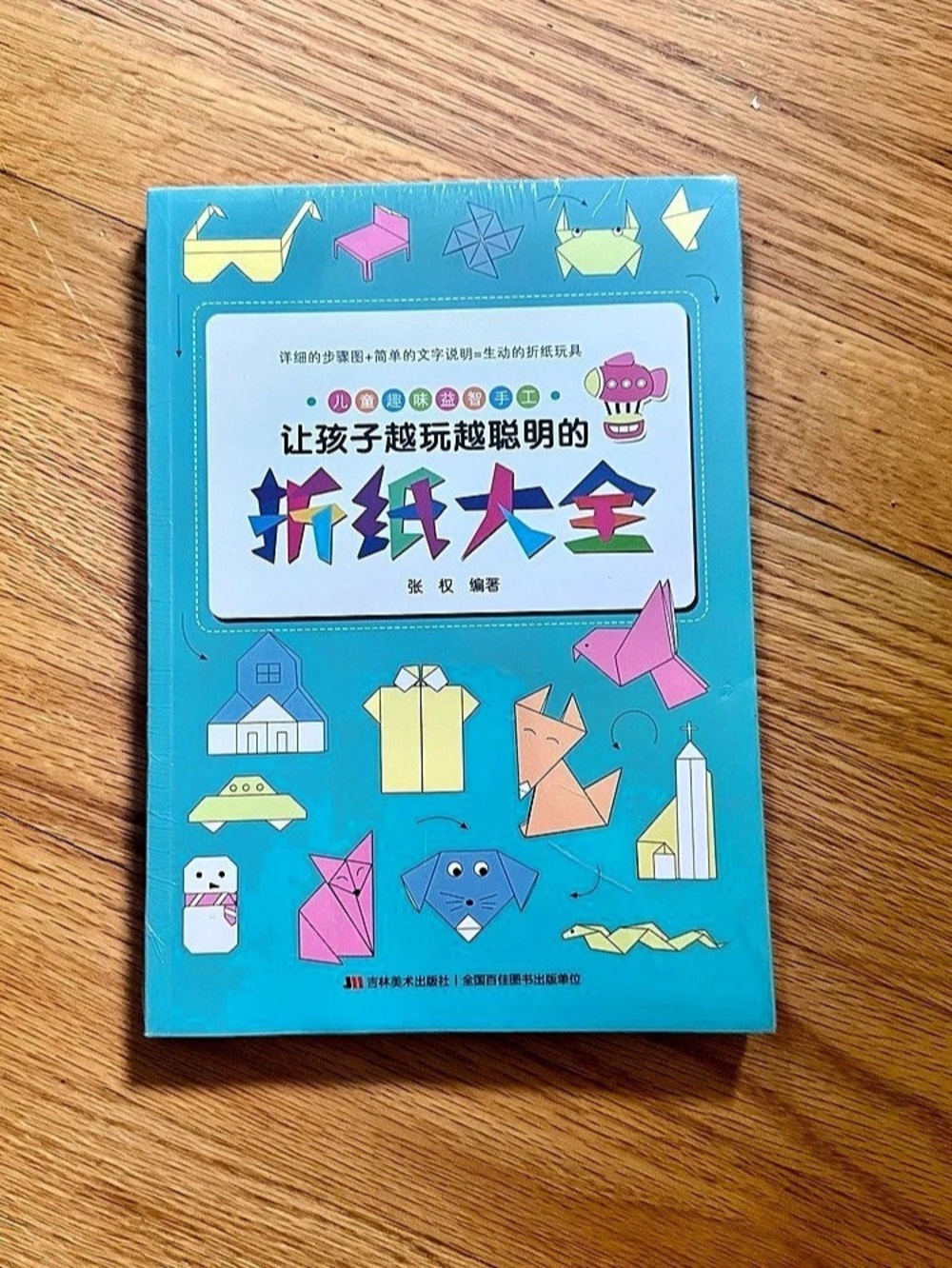 Chinese Kids Origami Book 折纸大全 – New & Sealed, Fun Paper Crafts